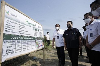 Tingkatkan Produktivitas Dan Pengembangan Kom0doditas Pertanian, Melalui Program Makmur