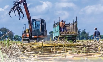 Dongkrak Capaian Kerja dan Bisnis PTPN I Kedepankan Program Teknologi Dan Digital di Seluruh Regional