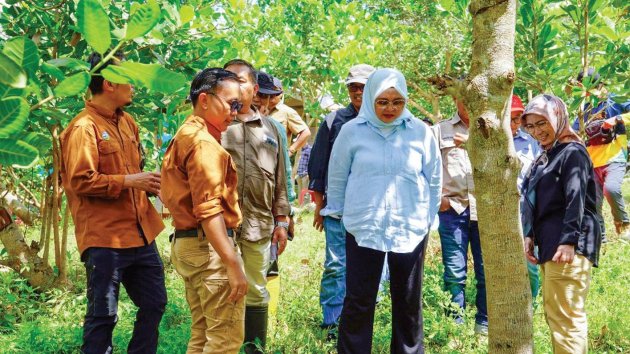 Ditjen PDASRH:  Pertarungan Menyelamatkan  Daerah Aliran Sungai