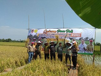 Gubernur Kalsel Dan Bupati Banjar Panen Padi Bersama Dan Resmikan SP3T