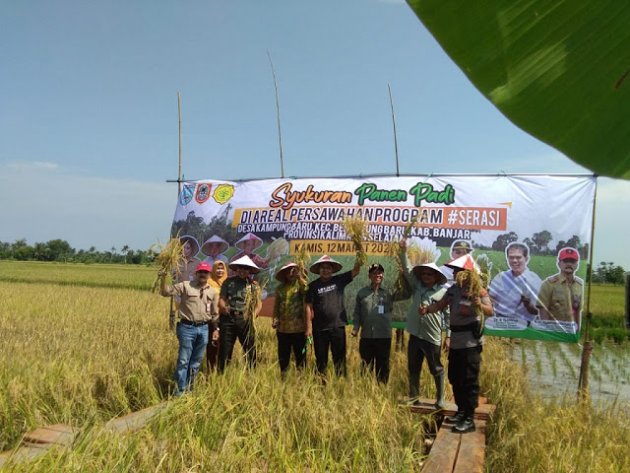 Gubernur Kalsel Dan Bupati Banjar Panen Padi Bersama Dan Resmikan SP3T