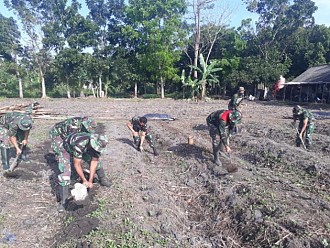 Koramil Aluh-Aluh Budidayakan Tanam Sayuran Di lokasi Demplot