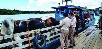 Geliat Ekspor Komoditas Pertanian  Di Kota Industri Batam