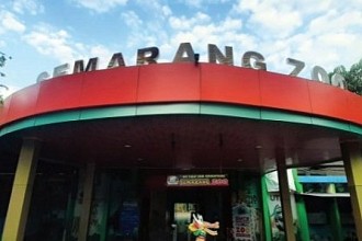 Strategi Taman Satwa Semarang Bertahan di Tengah Pandemi