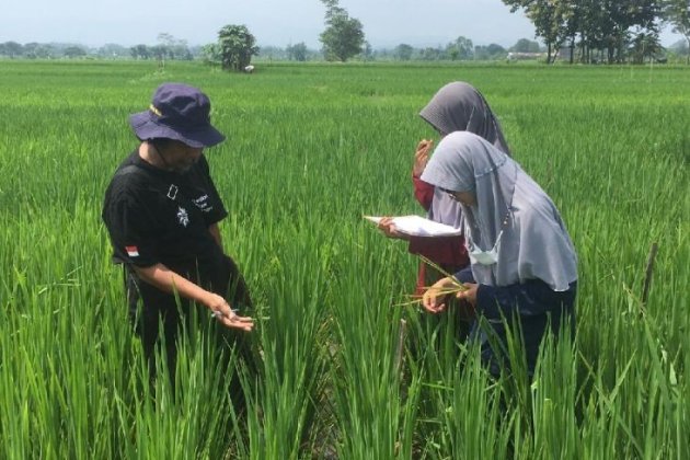 SMK Pertanian Pembangunan Negeri Banjarbaru Menjaring Usia Produktif Masuk ke Sektor Pertanian