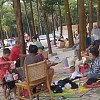 Kolam Renang Konsep Pantai di Tengah Hutan Ada di Purwakarta, Cuma 1 Jam dari Bandung