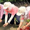 Gandeng WWF Indonesia, PLN Jadi Perusahaan Pertama di Tanah Air Adopsi Kerangka Kerja TNFD