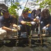 Pegadaian Dukung PNM Balikpapan Tanam 5 Ribu Mangrove di SPI Lamaru