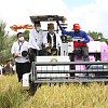 Kementan Dorong Daerah Lakukan Percepatan Tanam Padi