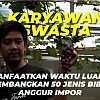 Budidaya Anggur Impor di Halaman Rumah; Perawatan Mudah, Buah Melimpah