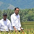 Di Sulteng, Presiden Jokowi Apresiasi Gebrakan Mentan Amran Lakukan Percepatan Tanam Padi