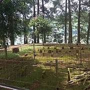 Daya Tarik Pasir Mantri, Wisata Religi di Tengah Situ Wanayasa