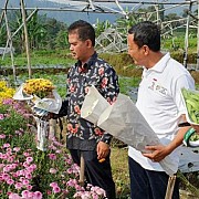 Kementan Pacu Pengembangan Sentra Tanaman Hias di Tawangmangu