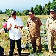Cianjur Siap Sukseskan Swasembada Bawang Putih 2021
