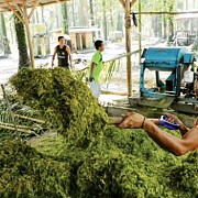 Dulu Tertinggal, Kini Berkilau