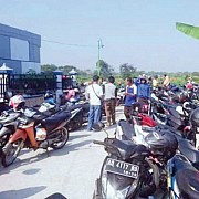 Tipu Herbal Gus Alfarizi