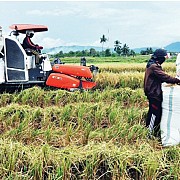 Petani Indonesia  Menjaga Tradisi di Era 4.0