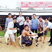 Open Camp Ciangir:  WBP & Ketahanan Pangan