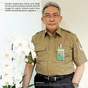 Pandemi Covid-19 Saat Bumi Membersihkan Diri