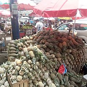 Pedagang Buah Lampung Sukses Kembangkan Usaha Berkat KUR BRI