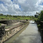 Dorong Peningkatan Produktivitas Pertanian di Bali, Kementerian PU Rehabilitasi Jaringan Irigasi DAS Sungi