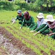 PUSDIKTAN Ciptakan Ujung Tombak Pertanian