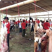 Kementan Atur Pelaksanaan Kurban di Tengah Pandemi