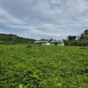 Kementerian PU Siapkan Sekolah Rakyat Tahap II di Halmahera Barat, Tuntas 2026