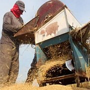 Berkat KUR, Usaha Penggilingan Padi di Gowa Sukses