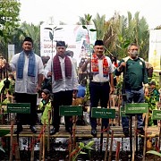 Rayakan HUT DKI Jakarta, Apical Group Bersama Pemprov DKI Tanam 3000 Mangrove