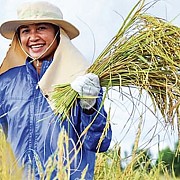 Askrindo Bogor Membidik Pelaku Usaha Untuk Mendongkrak Eksistensi Bisnis