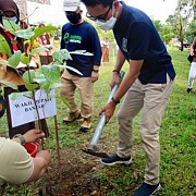 Hijaukan Kalimantan Selatan, 10 Ribu Bibit Pohon Ulin Ditanam Serentak