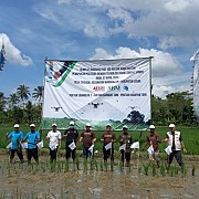 Gandeng Poktan, PT ABM Budidaya Padi 100 Hektar  di Banten Selatan