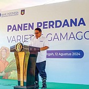 Bank Indonesia: Pertanian NTB Perisai Dari Guncangan Global