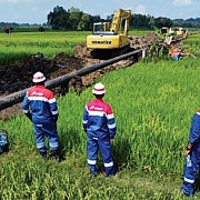 Peran Strategis PGN Solution Dalam Transisi Energi