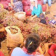 Pasokan Mencukupi, Harga Komoditas Hortikultura Terpantau Stabil Hingga Lebaran