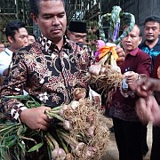 Kementan Sudah Terbitkan Rekomendasi 19 Importir Bawang Putih 245 Ribu Ton