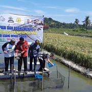 Sinergi KKP-Kementan Kembangkan INTAN AP PANDU untuk Kesejahteraan Masyarakat