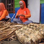 Kampung Gambut Berdikari Pertamina, Sukses Olah Kulit Nanas