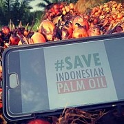 JIM: Pemerintah RI Lalai Terhadap Kebakaran Hutan dan Industri Sawit