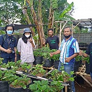 Jamkrindo dan Salarea Foundation Menyiapkan Program Rumah Semai  