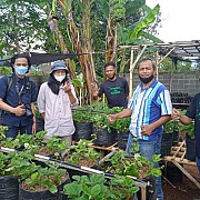 Jamkrindo dan Salarea Foundation Menyiapkan Program Rumah Semai