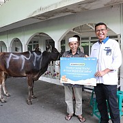 Bentuk Syukur yang Nyata di Hari Idul Adha, PNM Salurkan Hewan Kurban di Berbagai Titik Seluruh Indonesia