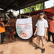 Iduladha 1444 H, TelkomGroup Distribusikan Hewan Kurban ke Seluruh Indonesia
