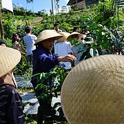 Terletak Di Ketinggian 1300-1500 Mdpl, Kampung Kopi Konservasi Di Banjarnegara Mampu Cegah Erosi Tanah Juga Sejahterakan Warga