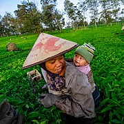PNM Majukan UMKM Lewat Literasi Kesehatan Ibu dan Anak