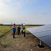 Terus Bertambah, Desa Energi Berdikari Pertamina Ada di 52 Titik Lokasi Seluruh Indonesia