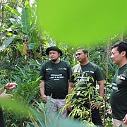 1.000 Bibit Durian PNM, Hijaukan Ekonomi Tiga Desa Banyumas