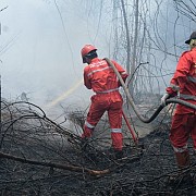 Sinergi Pertamina Group Turunkan Lebih Dari 200 Personil Bantu Atasi Kebakaran Karhutla