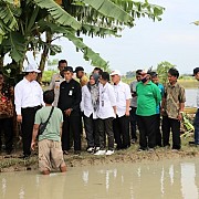 Mentan Amran Pastikan Tambahan Anggaran Peningkatan Produksi dan Pupuk Bersubsidi Segera Realisasi